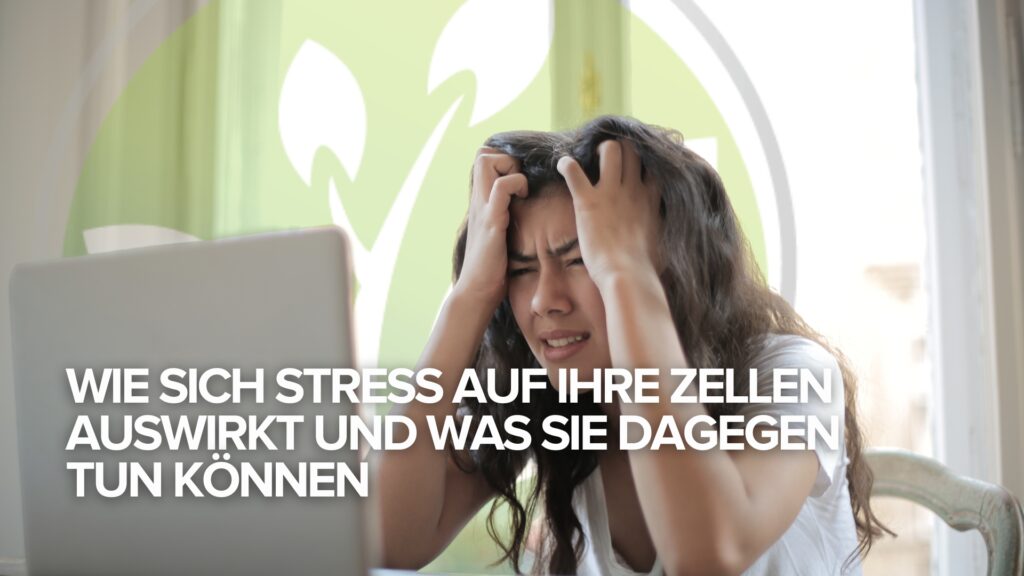 Wie sich Stress auf Ihre Zellen auswirkt und was Sie dagegen tun können