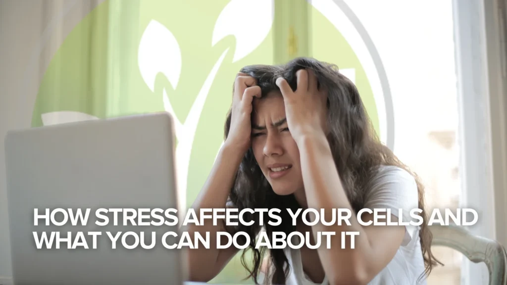 How Stress Affects Your Cells and What You Can Do About It How Stress Affects Your Cells and What You Can Do About It