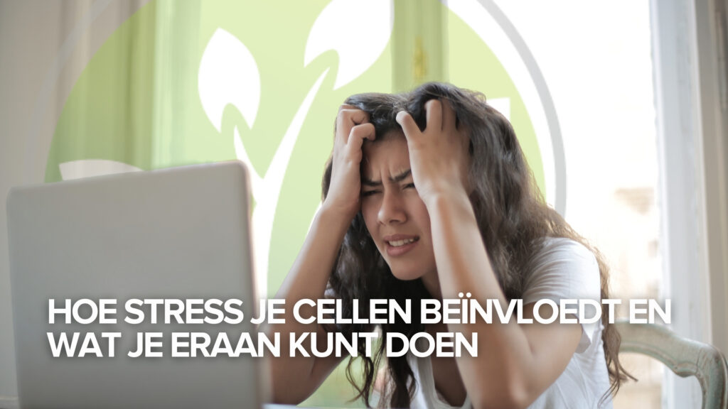 Hoe stress je cellen beïnvloedt en wat je eraan kunt doen Hoe stress je cellen beïnvloedt en wat je eraan kunt doen