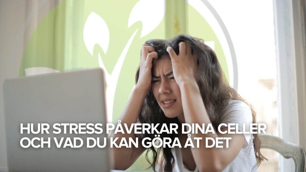 Hur stress påverkar dina celler och vad du kan göra åt det