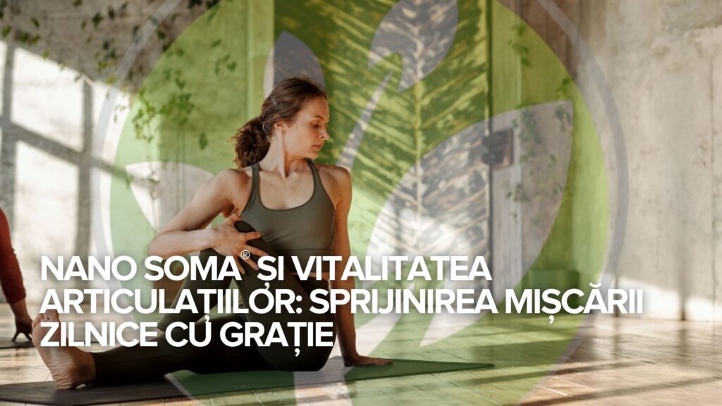 NANO SOMA® și vitalitatea articulațiilor: Sprijinirea mișcării zilnice cu grație