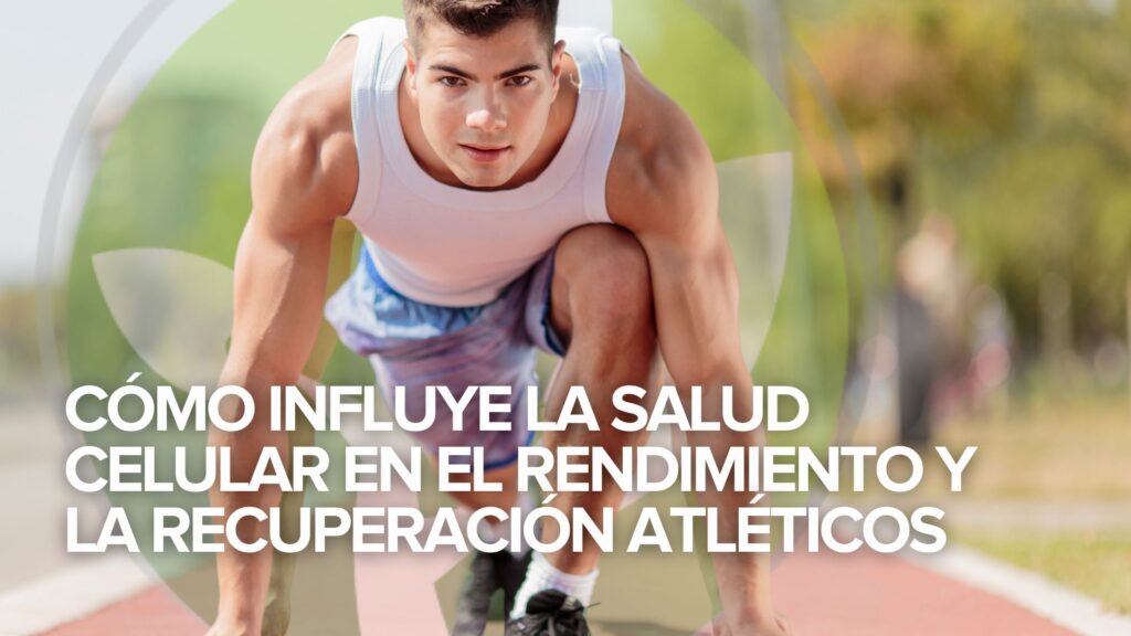 Cómo influye la salud celular en el rendimiento y la recuperación atléticos Cómo influye la salud celular en el rendimiento y la recuperación atléticos