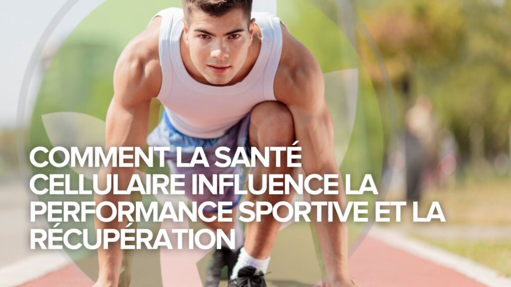 Comment la santé cellulaire influence la performance sportive et la récupération Comment la santé cellulaire influence la performance sportive et la récupération
