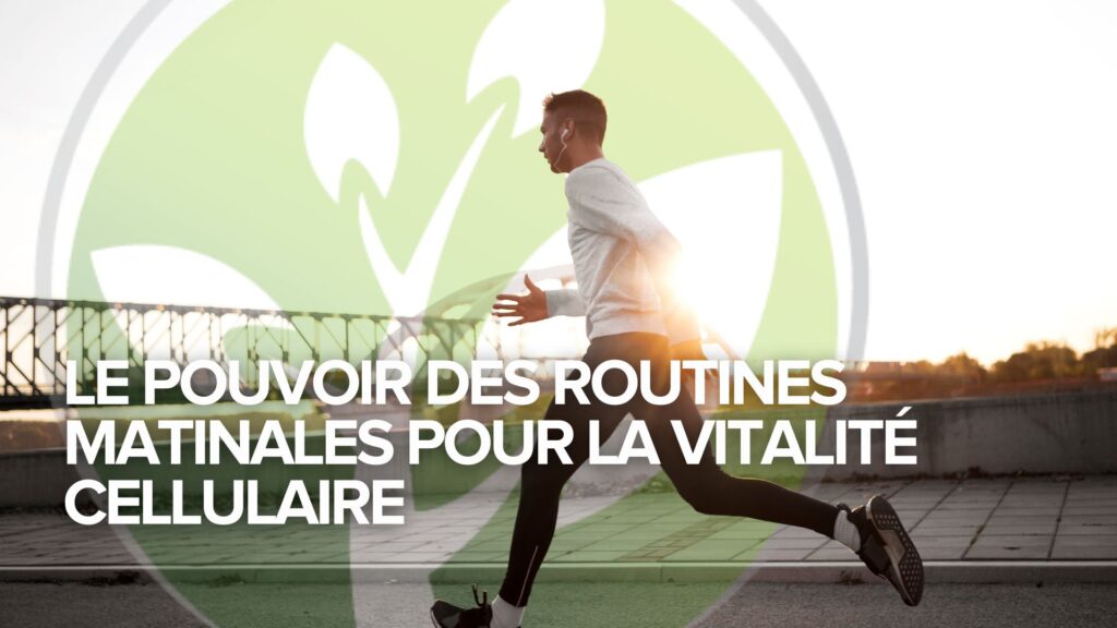 Le pouvoir des routines matinales pour la vitalité cellulaire