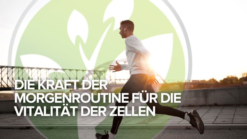 Die Kraft der Morgenroutine für die Vitalität der Zellen