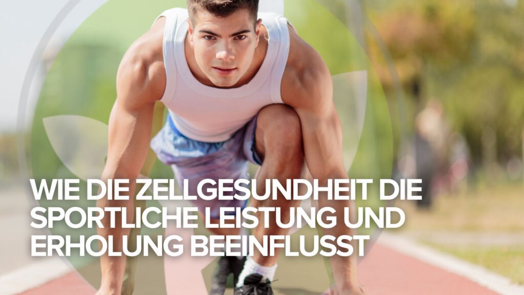 Wie die Zellgesundheit die sportliche Leistung und Erholung beeinflusst