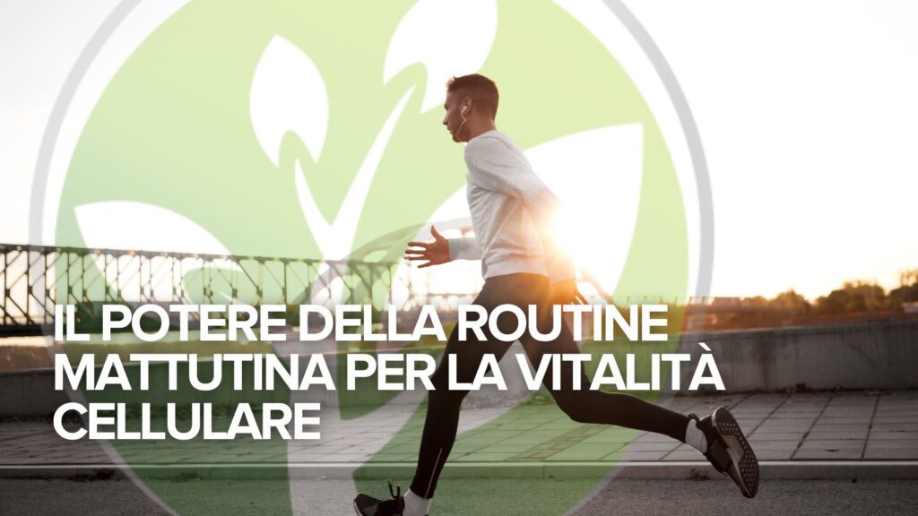 Il potere della routine mattutina per la vitalità cellulare Il potere della routine mattutina per la vitalità cellulare