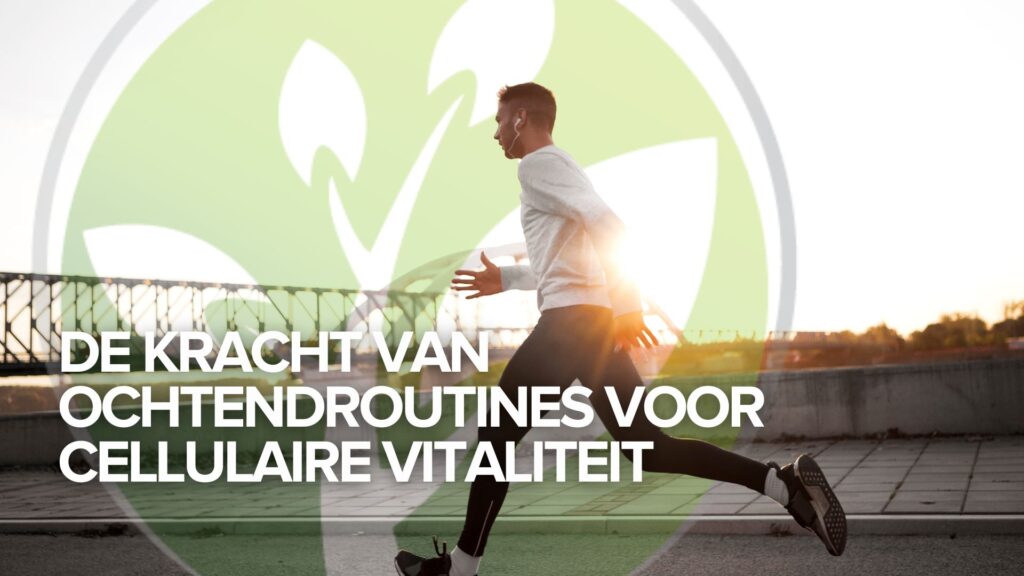 De kracht van ochtendroutines voor cellulaire vitaliteit De kracht van ochtendroutines voor cellulaire vitaliteit