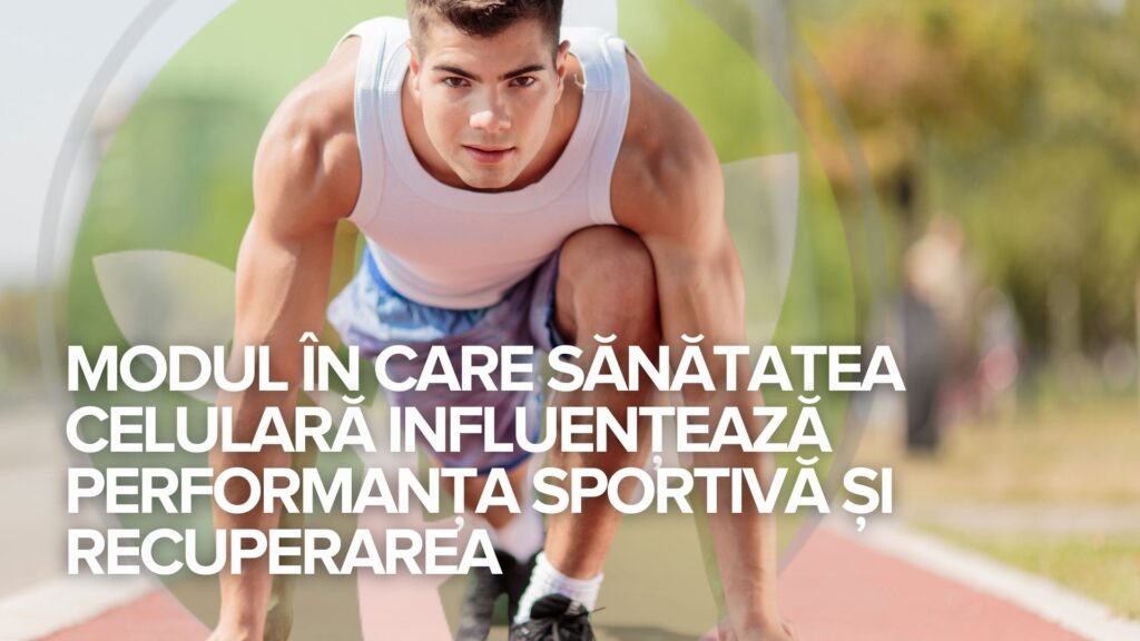 Modul în care sănătatea celulară influențează performanța sportivă și recuperarea Modul în care sănătatea celulară influențează performanța sportivă și recuperarea