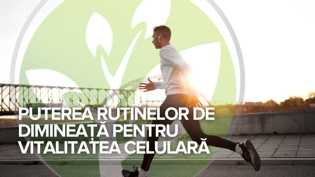 Puterea rutinelor de dimineață pentru vitalitatea celulară Puterea rutinelor de dimineață pentru vitalitatea celulară