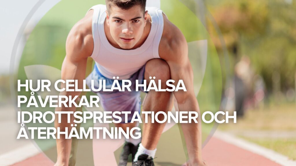 Hur cellulär hälsa påverkar idrottsprestationer och återhämtning Hur cellulär hälsa påverkar idrottsprestationer och återhämtning