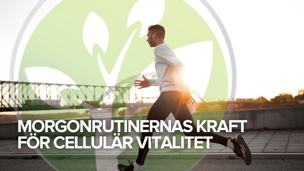Morgonrutinernas kraft för cellulär vitalitet Morgonrutinernas kraft för cellulär vitalitet