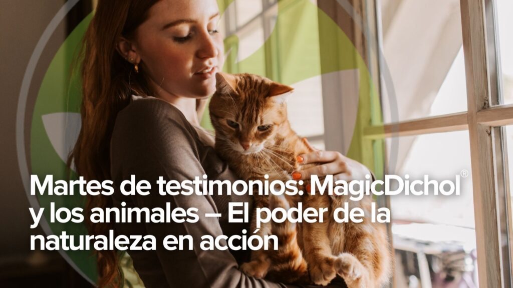 Martes de testimonios: MagicDichol® y los animales – El poder de la naturaleza en acción Martes de testimonios: MagicDichol® y los animales – El poder de la naturaleza en acción