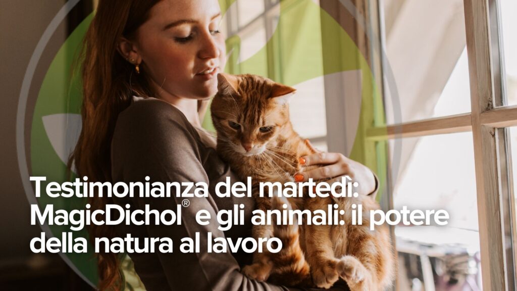 Testimonianza del martedì: MagicDichol® e gli animali: il potere della natura al lavoro Testimonianza del martedì: MagicDichol® e gli animali: il potere della natura al lavoro
