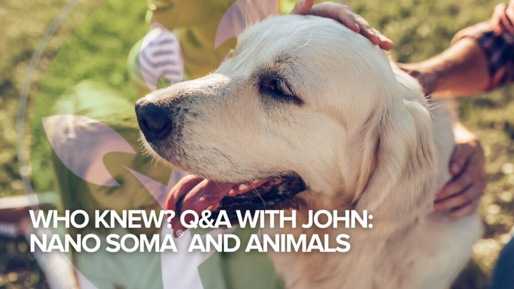 Vem visste? Frågor och svar med John:NANO SOMA® och djur Vem visste? Frågor och svar med John:NANO SOMA® och djur