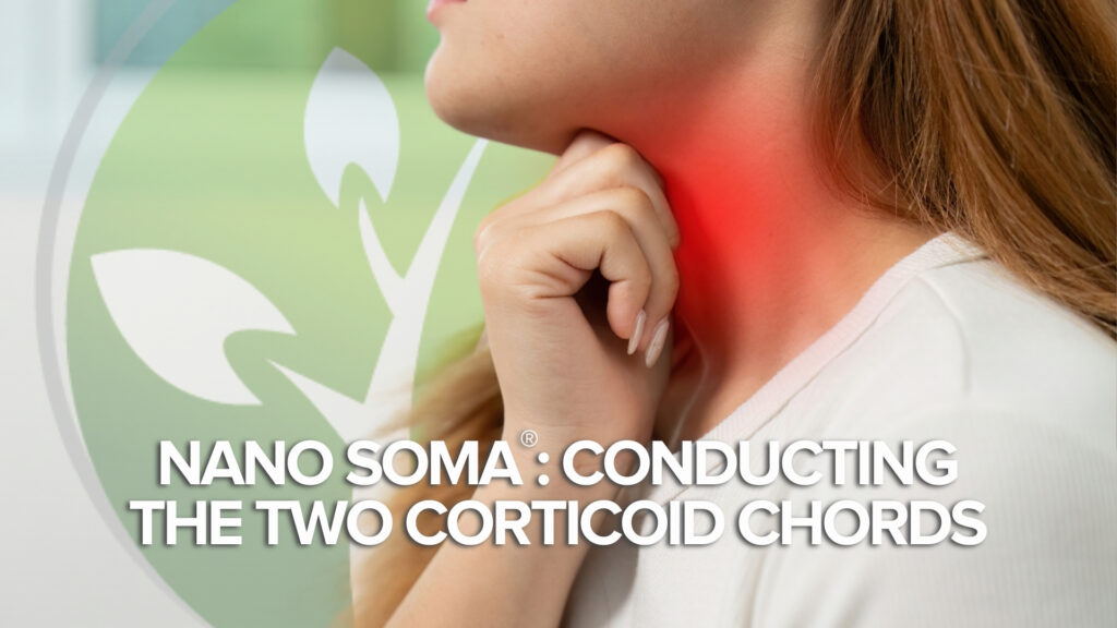 NANO SOMA®: Conducerea celor două acorduri corticoide NANO SOMA®: Conducerea celor două acorduri corticoide