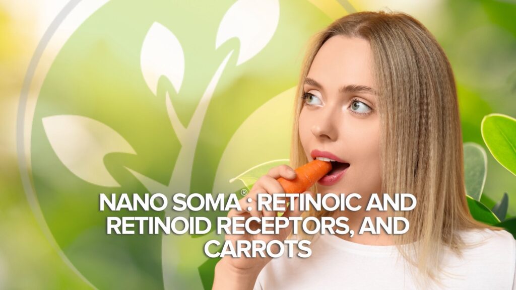 NANO SOMA®: recettori retinoici e retinoidi e carote