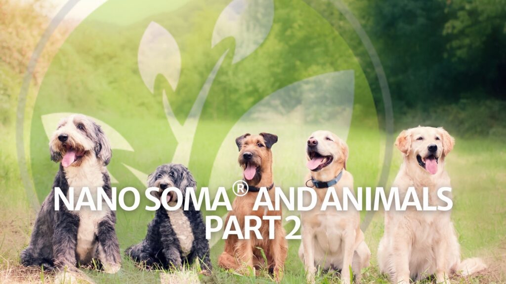 NANO SOMA® and Animals Part 2