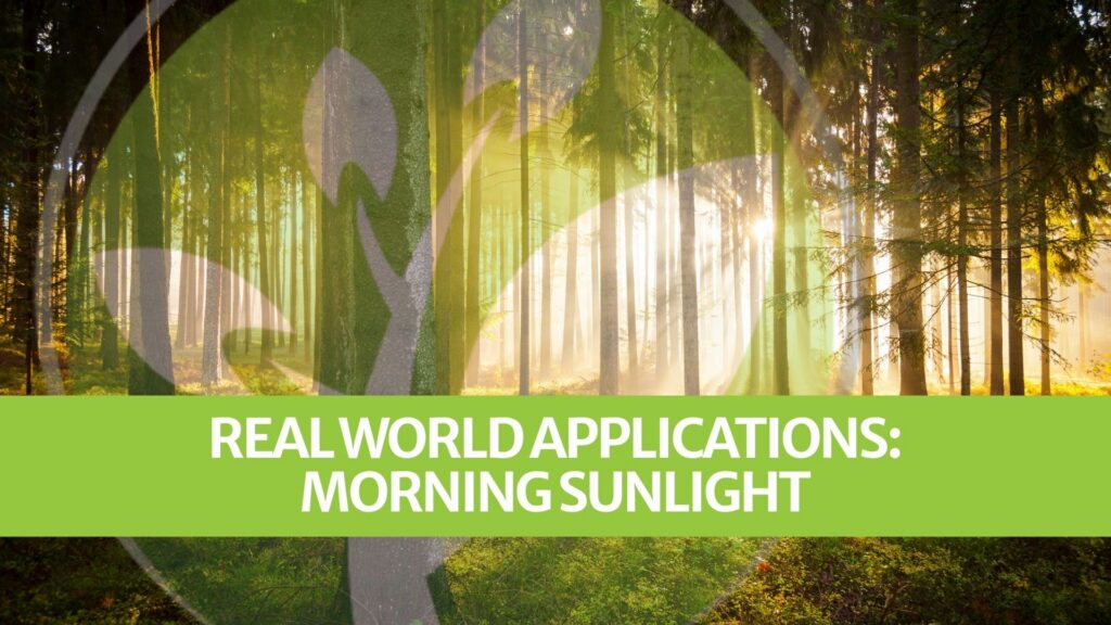 Real World Applications: Morning Sunlight
