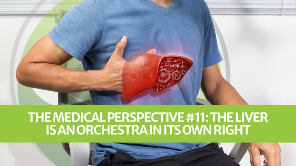 Le point de vue médical n°11 : Le foie est un orchestre à part entière