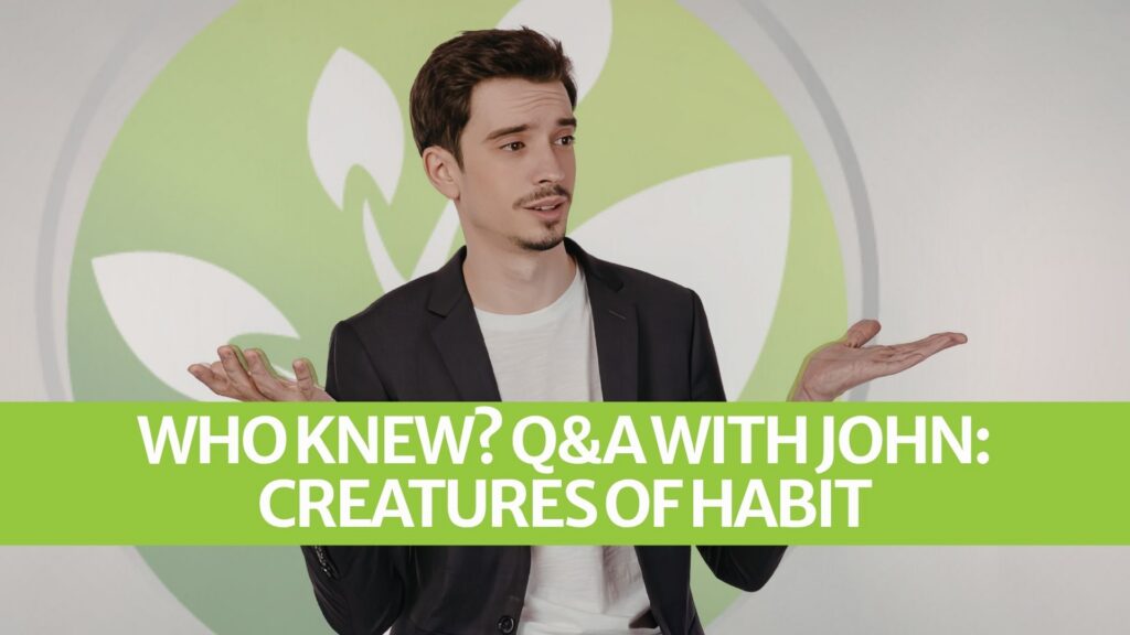 Vem visste det? Frågor och svar med John: Vanedjur Vem visste det? Frågor och svar med John: Vanedjur